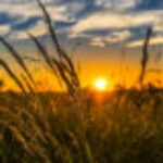 INQUIRER.NET: “La agroecología ayuda a los agricultores a amortiguar el impacto climático”